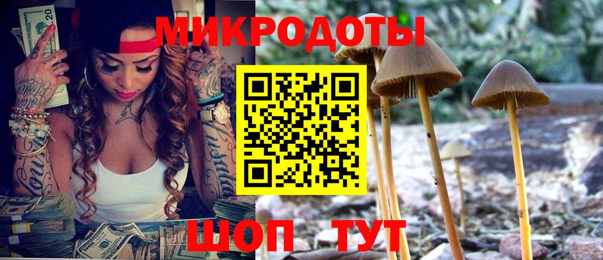 как найти   Галлюциногенные грибы Psilocybine cubensis  Вход с VPN  Галлюциногенные грибы мухоморы  Сунжа 