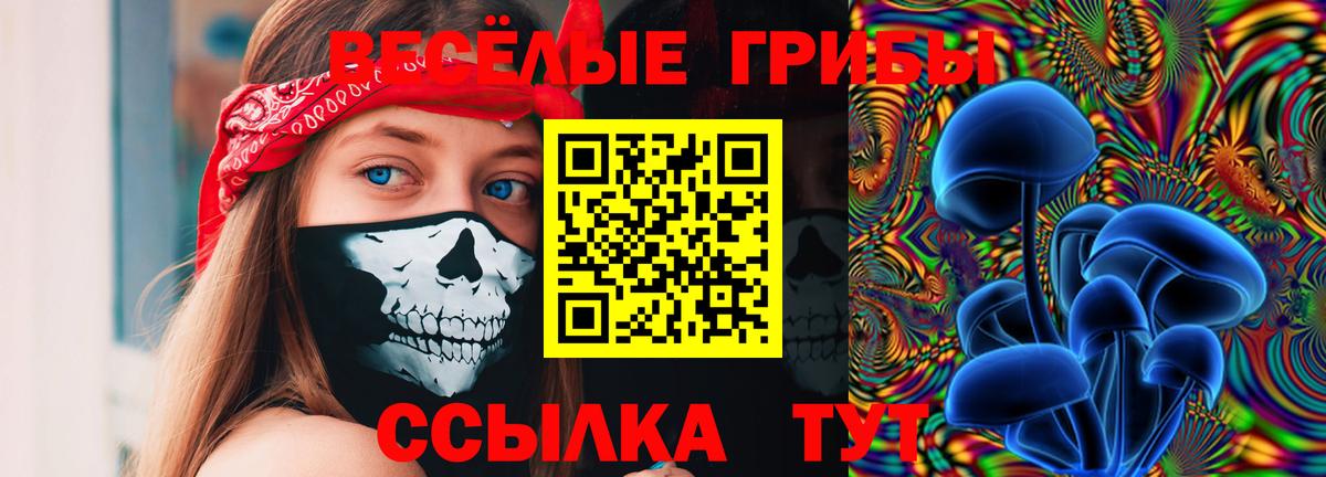 Псилоцибиновые грибы мицелий Сунжа