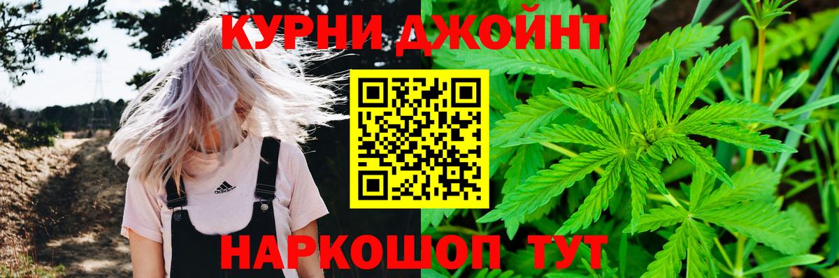 Бошки марихуана сатива Сунжа